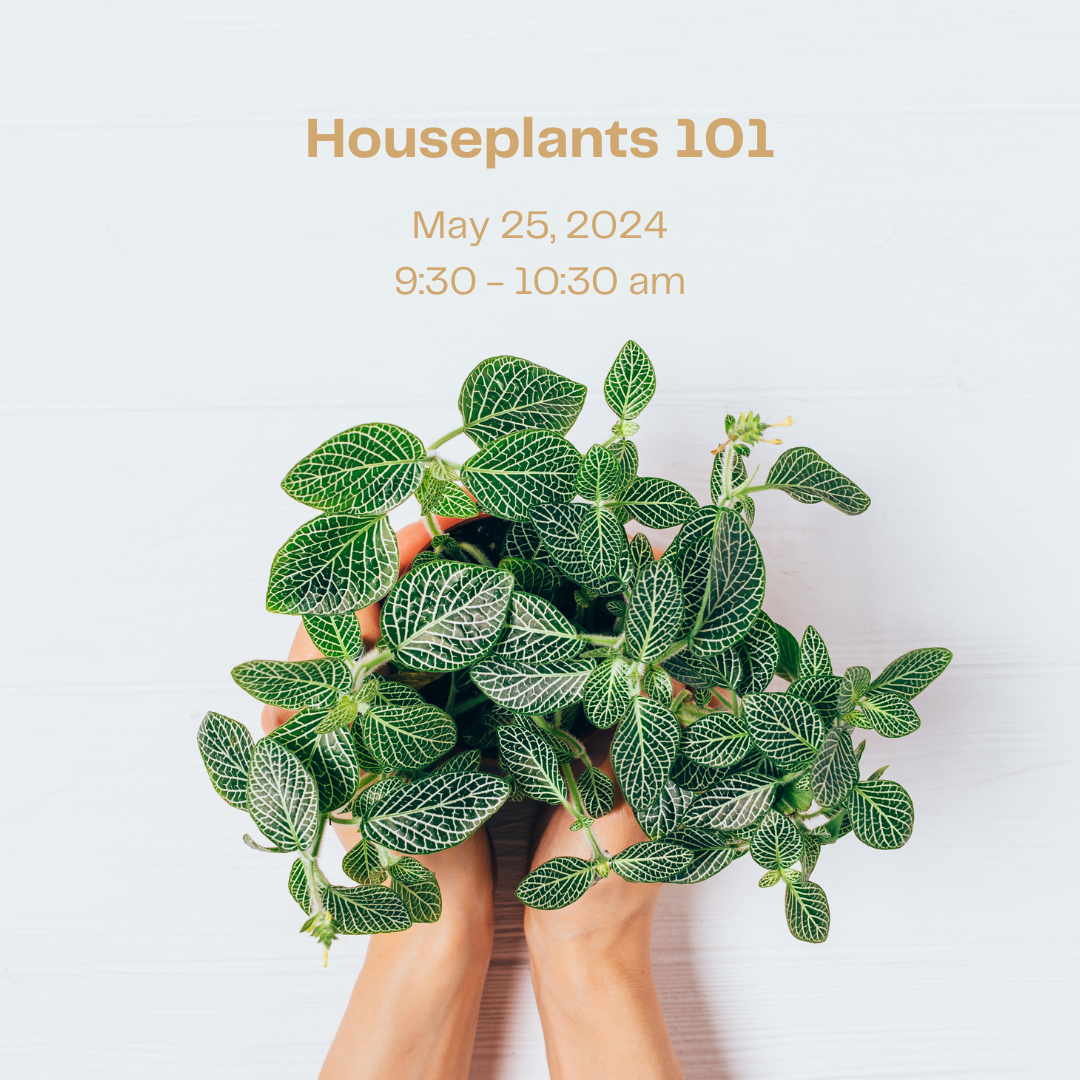 houseplants-101-workshop-flora