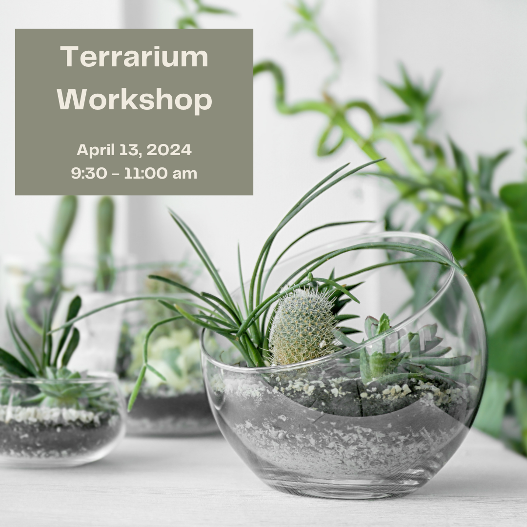 Go green in 2024 with the best terrarium kits for adults - Gathered